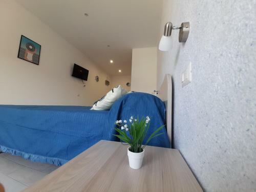 Lucrezia Suites - Apartment