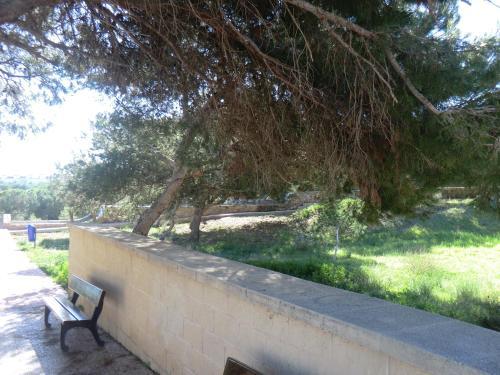 Apartamento - Playa La Mata