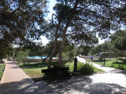 Apartamento - Playa La Mata