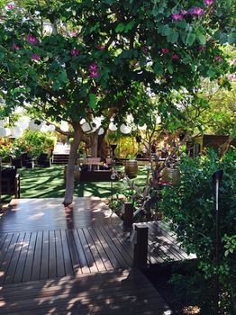 Hotel The Billi Resort