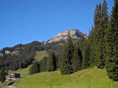 Haller's Genuss & Spa Hotel