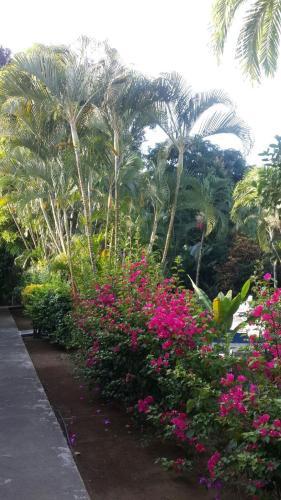 Hotel El Paraiso Escondido