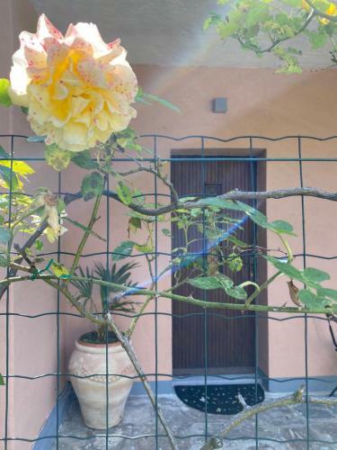 Apartamento Azalea Appartamenti