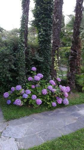 Apartamento Residence Villa Margherita