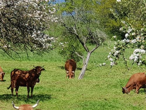 Apartamento Petit Week End Dans La Vall�e