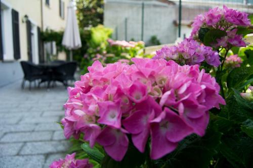 Apartamento Giardino Delle Ortensie