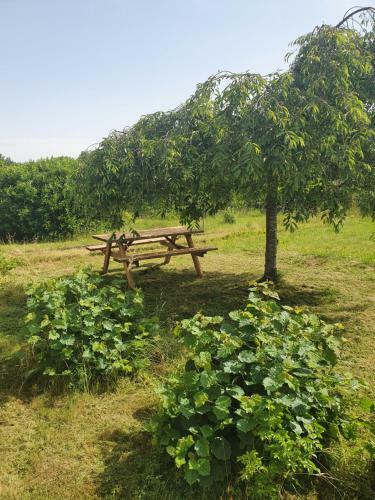 G�te De Montapeine 8