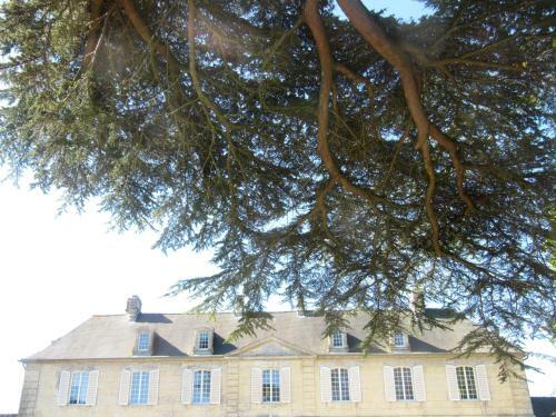 Bed & Breakfast Chateau Les C�dres