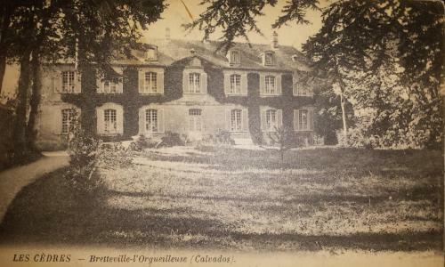Bed & Breakfast Chateau Les C�dres
