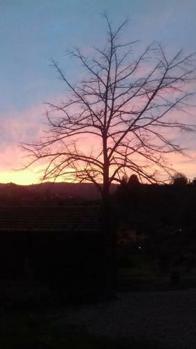 Bed & Breakfast Podere Sanlorenzo