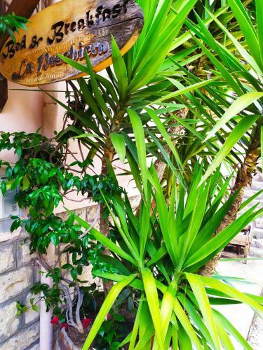 B&B La Peschiera