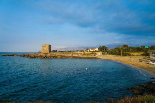 Airport Sicily Home Palermo