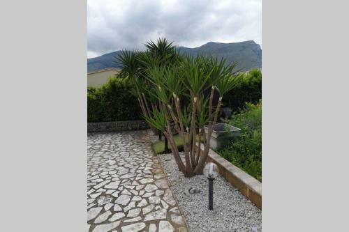 Villa Carmela 300mt Dal Mare