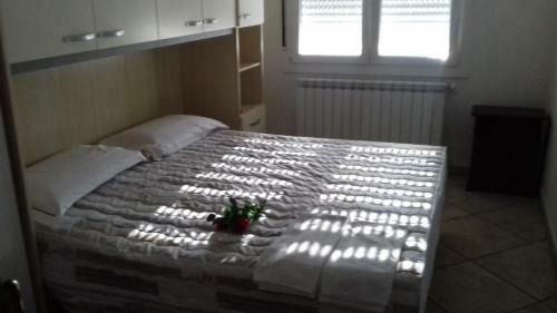 Apartamento Affitto Camere E Mini Locali Carpi