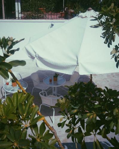 B&B Fiore Di Loto