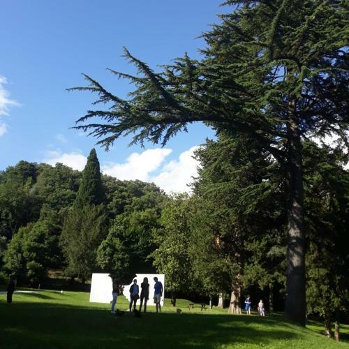 Apartamento Casa Mor�