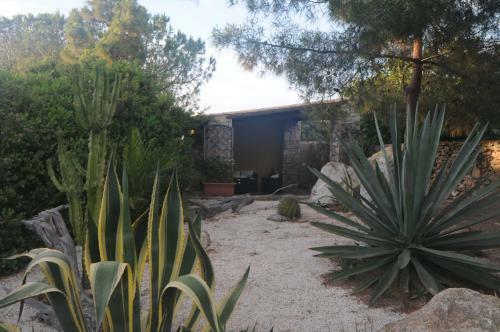 Villa Con Piscina A Carloforte