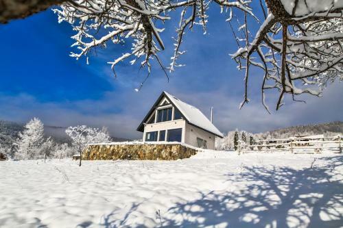 Top House