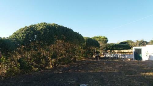 Apartamento Country House La Caletta Carloforte