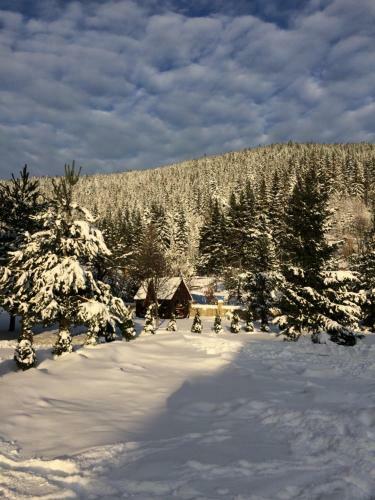 Hostal Zatin