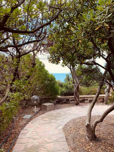 A Vacation On A Private Island