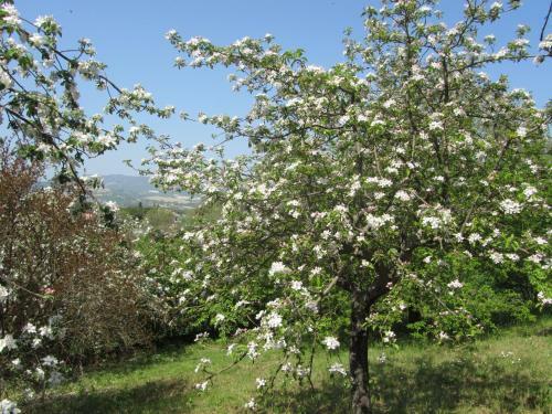 Apartamento Casale Del Monte