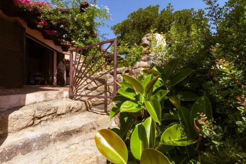 Villa Con Magnifico Terrazzo Iun P6868