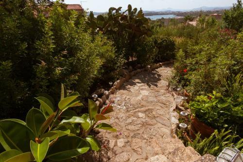 Villa Con Magnifico Terrazzo Iun P6868