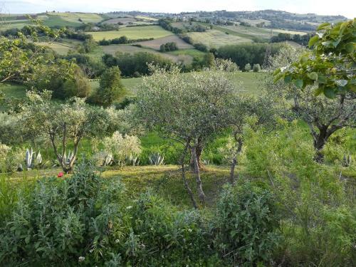 Casa Vacanze Ortobene