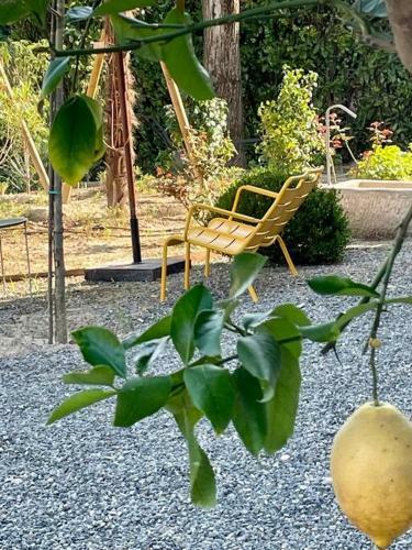 Villa Verdini - A Truly Special Place In Piemonte