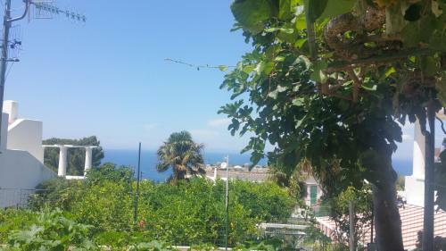 Villa Dei Fiori B&B