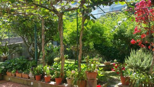 Villa Dei Fiori B&B