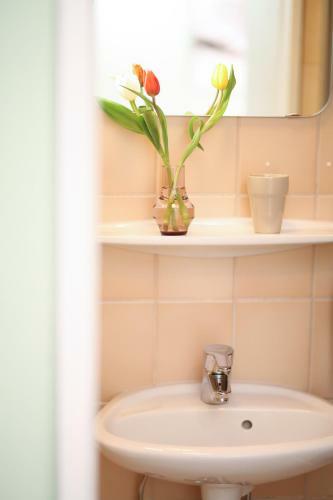 Hostal Pension Bergsee