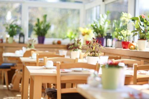Hostal Pension Bergsee