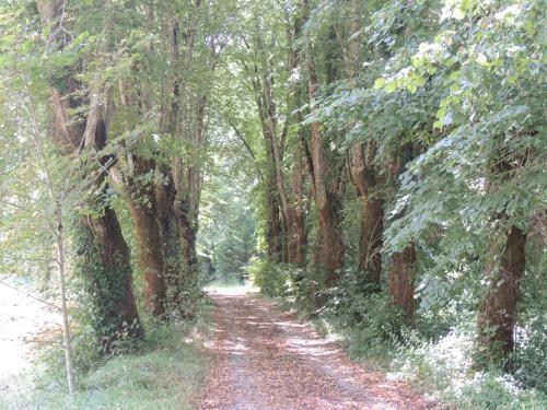 Apartamento La Tour Du Chambon