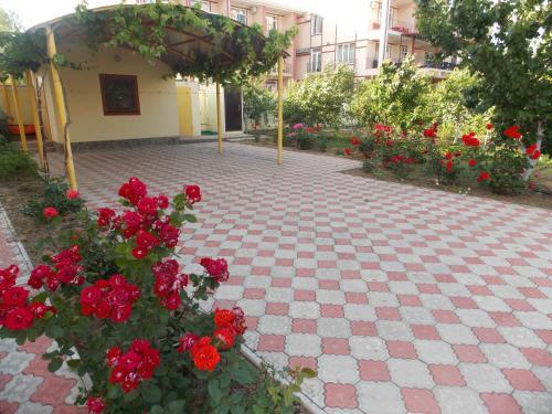 Villa ?????????? ??? ? ????