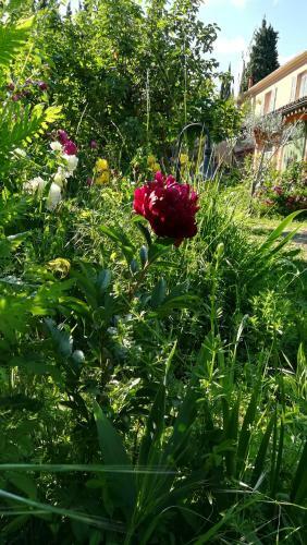 Bed & Breakfast Lolifan En Provence