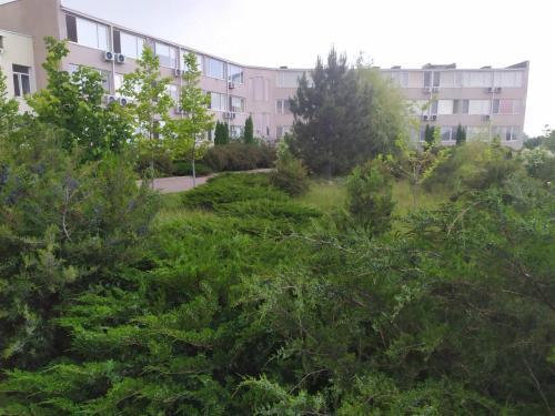 Apartament Promenad Zatoka 1