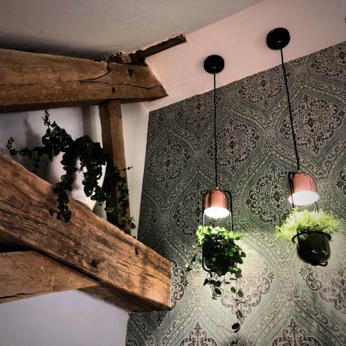 Bed & Breakfast Hercule