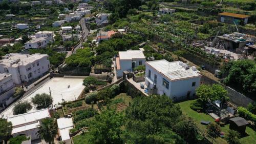 Apartamento My Home Capri F