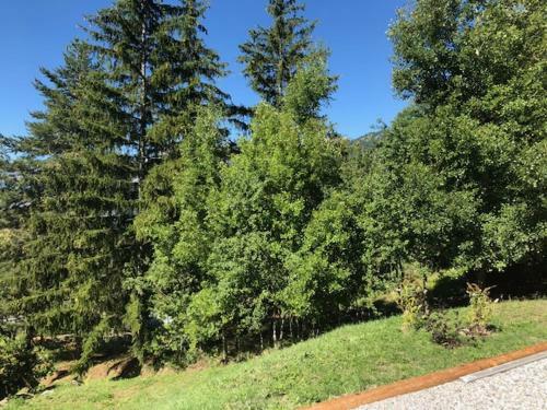Apartamento Le Gite Du Gueyt