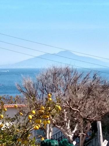Casa Paolina - Casa Vacanze