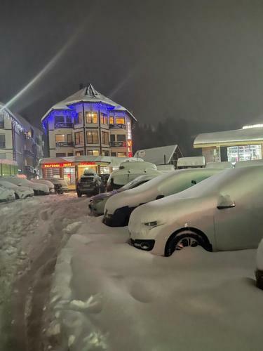 Hotel Villa Vlad