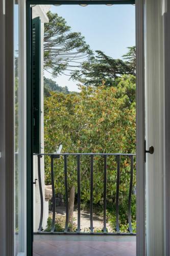 Apartamento Azzurra, Capri