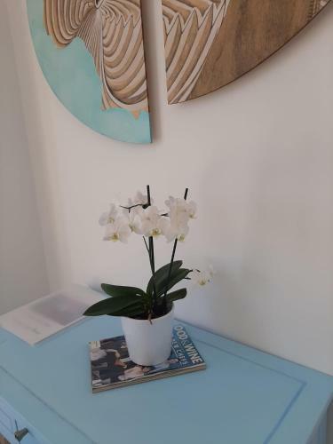 Apartamento Luxury Suite With Terrace In Capri Town