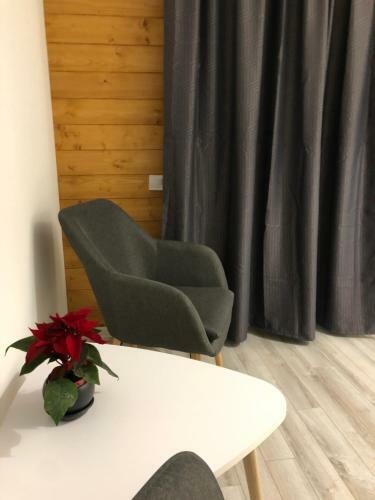 Hotel Konopka Forest Home