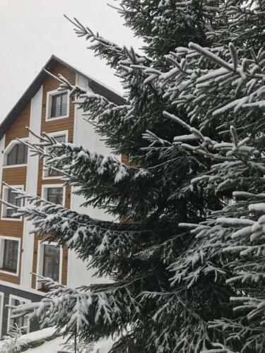 Hotel Konopka Forest Home