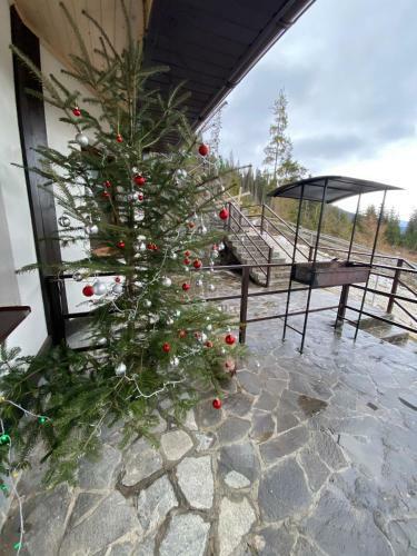 Apartamento New 2020 Specious Cottage Druzi