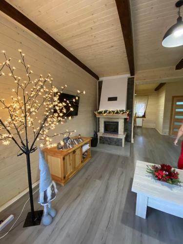 Apartamento New 2020 Specious Cottage Druzi