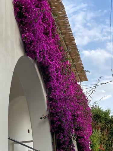 Apartamento Roberhouse Tragara 37